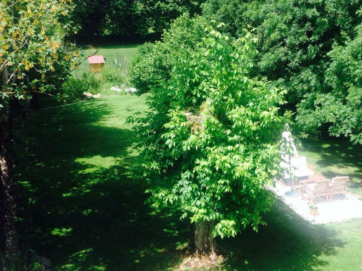 Bed and Breakfast Le Fagnard Chalais  Exterior foto