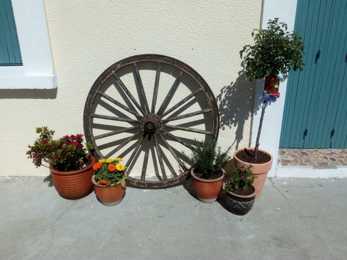 Bed and Breakfast Le Fagnard Chalais  Exterior foto